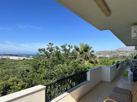 VNKLIM325- Two houses with a large olive grove near the village of Timbaki