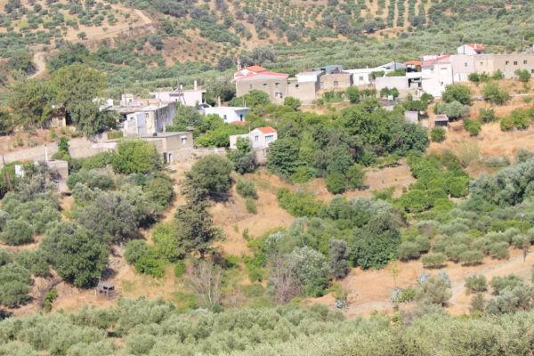 VGER314 - A two bedroom village house on a large land plot in Gergeri - 5