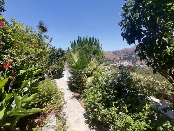 VMO 307 - A three bedroom villa with gardens and fantastic mountain views - 3