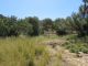 PAG302 - Large plot with sea views 500m to Agia Galini beach - 3
