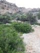 PAG302 - Large plot with sea views 500m to Agia Galini beach - 4