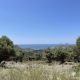 PAG361- A Large land plot with olive trees and sea views near Agia Galini - 1