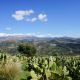 PAG362-A buildable land plot with sea and mountain views near Agia Galini. - 5