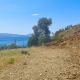 PAG367-Buildable land plot within the village zone of Agia Galini with fantasic sea views - 6