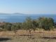 PAGI 248 - Large plot with olive grove and sea view near Agia Galini 2.5km to Agios Giorgos beach, South Crete - 6