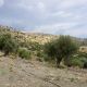 PAGI341 - A plot with lovely sea views near Agios Georgios beach - 2