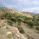 PAGI341 - A plot with lovely sea views near Agios Georgios beach - 4