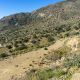 PAGI363-Plot with amazing sea view near Agios Georgios beach - 2