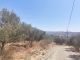 PNKAM332 - Plot on a small hill near Kamilari with country and sea views - 3
