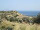 PPS186 - Level village plot with sea view at Agia Paraskevi - 3