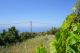 PPS353 - A small plot within the village of Agia Paraskevi - 4